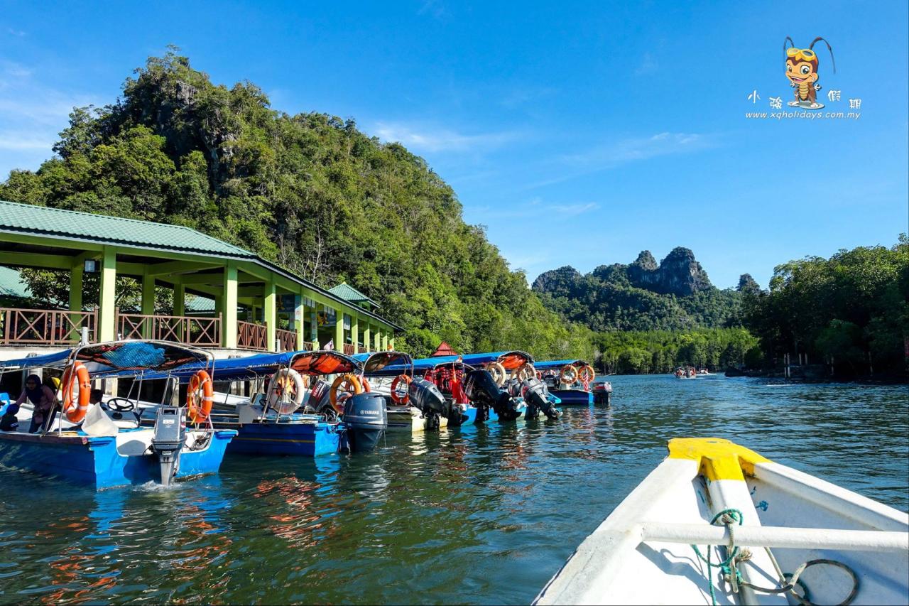 Jelajahi Keindahan Ekosistem Mangrove Langkawi dengan Tur Mangrove